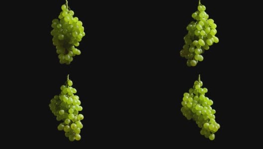 特写旋转的绿色葡萄在黑色的背景。高清在线视频素材下载