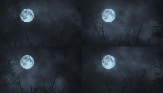 月月光。月亮的夜空。神秘的令人毛骨悚然的恐怖。树的影子树剪影。自然背景高清在线视频素材下载