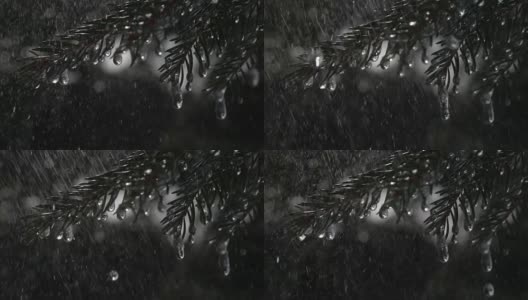 在黑色背景的慢镜头中，雨点落在冷杉树枝上，上面有冰冻的冰柱。高清在线视频素材下载