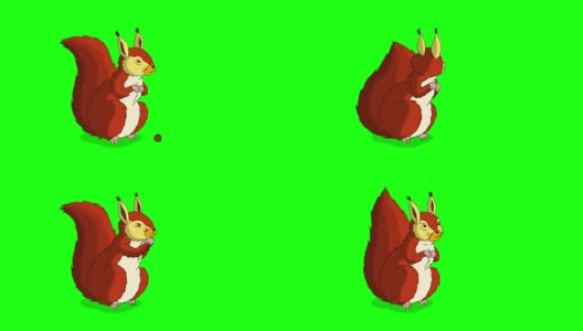 红松鼠坐着吃坚果。浓度高清在线视频素材下载