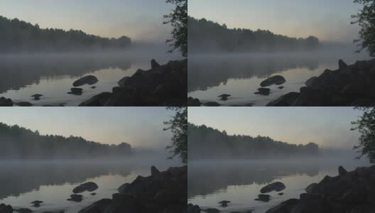 宁静宁静的田园诗般的景色，在夏日清晨的湖面上有雾。有雾的黎明。四季概念、生态、环境、休闲、旅游高清在线视频素材下载