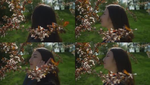 放松的亚洲女孩在盛开的樱花高清在线视频素材下载
