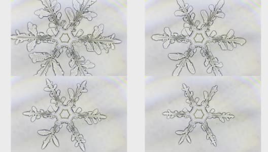 雪花的时间流逝高清在线视频素材下载