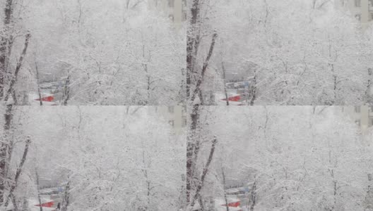 从多层建筑的窗户往外看。窗外下雪了。城市景观。树枝上霜和雪高清在线视频素材下载