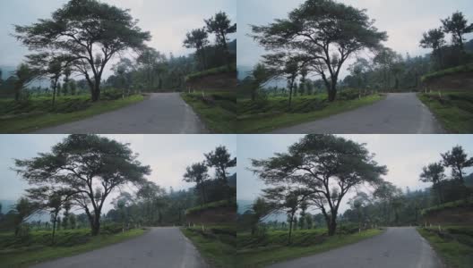 印度穆纳尔，一条被树木和茶园包围的乡间小路高清在线视频素材下载