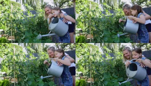 母亲和女儿在家里浇灌自己种的菜圃高清在线视频素材下载