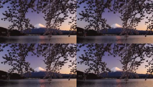 日本美丽的风景富士山樱花盛开高清在线视频素材下载