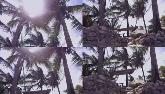 加勒比海滩椰子树和秋千，视频4k高清在线视频素材下载