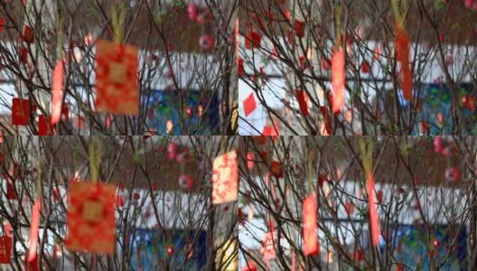 春节时，红包挂在树上高清在线视频素材下载