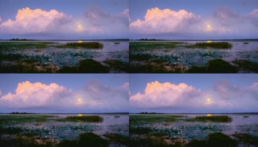 月亮升起在斯里兰卡南部沿海湿地高清在线视频素材下载