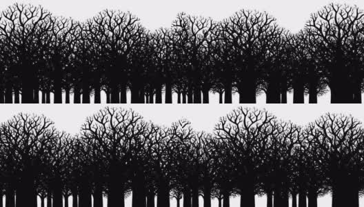 没有叶子的光秃秃的树木的动画。黑色和白色轮廓。高清在线视频素材下载