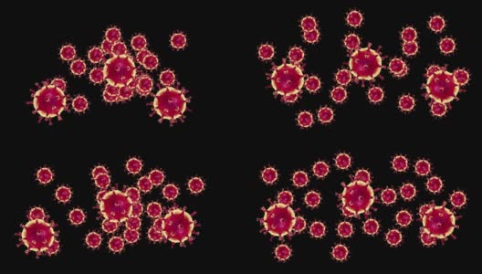 动画3d冠状病毒细胞在黑色背景。COVID-19病毒高清在线视频素材下载