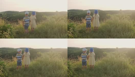 可爱的学前班小女孩和小男孩在日落前坐在山顶高高的草丛中。孩子在野外草地上散步。山上快乐的孩子。童年，自然，生活方式，夏季概念高清在线视频素材下载