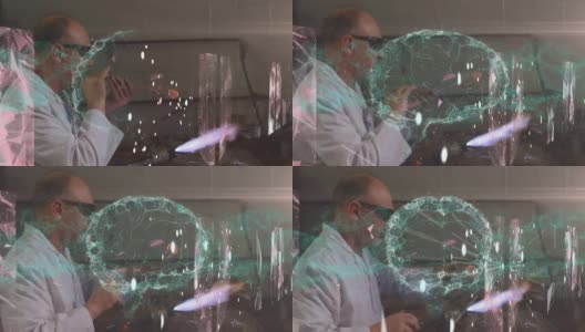 在实验室工作的白人男性科学家的数字大脑动画高清在线视频素材下载