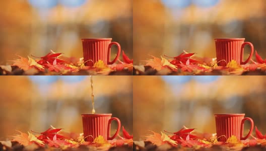 茶杯和秋季多色叶。高清在线视频素材下载
