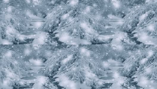 白雪皑皑的树木在冬季起到过滤植物森林的作用。高清在线视频素材下载
