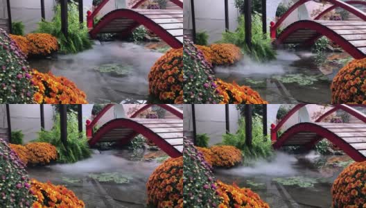 美丽的秋天的风景。秋天的花，池塘上的桥，水面上的雾高清在线视频素材下载