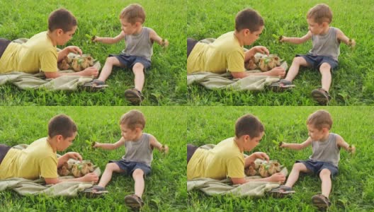 可爱的兄弟在夏天和家鸭玩耍。高清在线视频素材下载