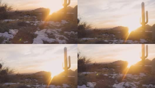仙人掌和冬天沙漠中的日落。高清在线视频素材下载