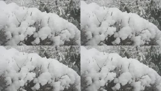 江原道江陵京浦台的屋檐下飘落着雪花高清在线视频素材下载