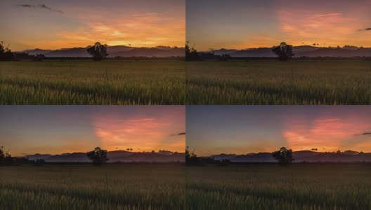 4K时间流逝稻田和天空日落在清迈，泰国。高清在线视频素材下载