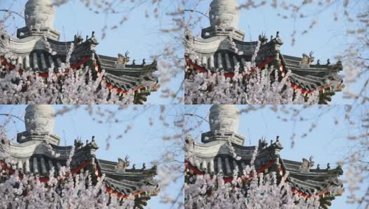 颐和园是北京的春天高清在线视频素材下载