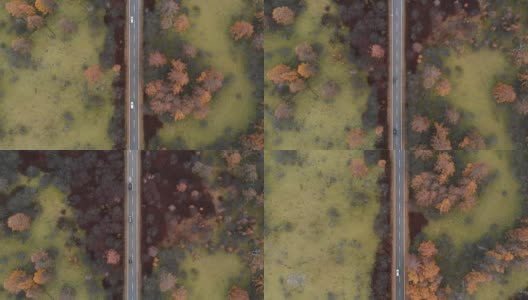 鸟瞰图与小车向前的风景路线，在秋天的尖沙原沼泽，日光，日本。高清在线视频素材下载