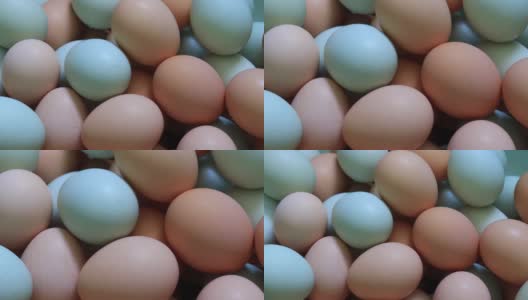 鸡蛋变焦镜头高清在线视频素材下载