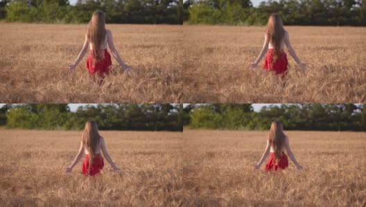 晚霞中，身着红裙的女孩走在成熟的麦田里，背景是一片绿色的森林高清在线视频素材下载