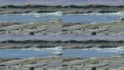 明媚春日的苏格兰海岸高清在线视频素材下载