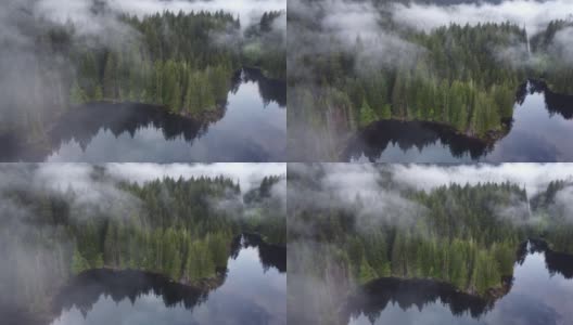从上到下，雾气笼罩着云杉树梢，清晨有一个湖高清在线视频素材下载