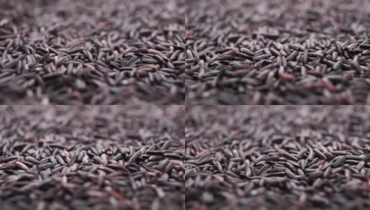 黑野莓茉莉花米。掉落未煮熟的干粮高清在线视频素材下载