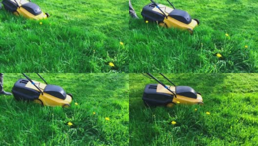 黄色电动割草机割草。在后院割草。园艺活动高清在线视频素材下载