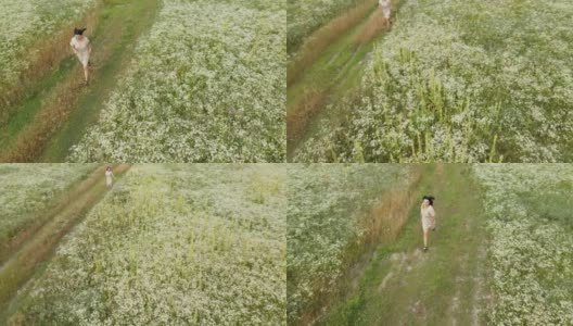 无人机鸟瞰图快乐女人穿着在鲜花盛开的草地，在乡下，在夏天的一天，在田野里，感受大自然，放松，独自旅行。缓慢的运动。高清在线视频素材下载