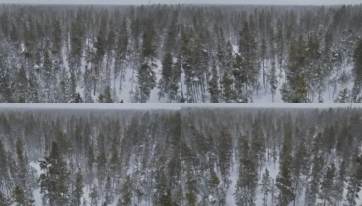 雪上的雪，森林的空气中有很多雪花在飞舞高清在线视频素材下载