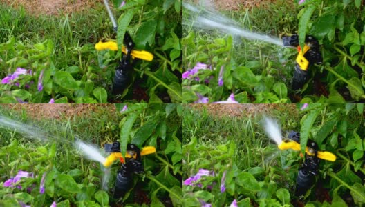自动草坪洒水在花园与绿色草地在慢动作高清在线视频素材下载