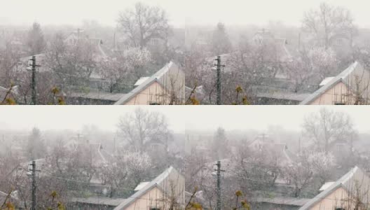 在春天雪。春天的雪覆盖了大街上的绿叶，树下的雪高清在线视频素材下载