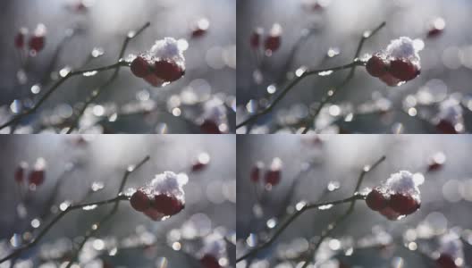 水晶的高清在线视频素材下载