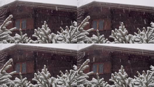 农村下大雪。雪花落在云杉的树枝上，背景是一座美丽的木屋高清在线视频素材下载