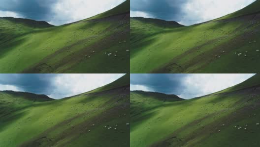 新疆高原草原牧羊空中景观高清在线视频素材下载