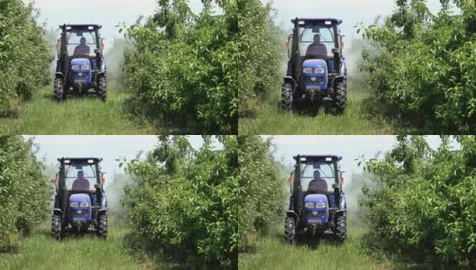 农民驾驶拖拉机和喷洒苹果园-慢动作视频高清在线视频素材下载