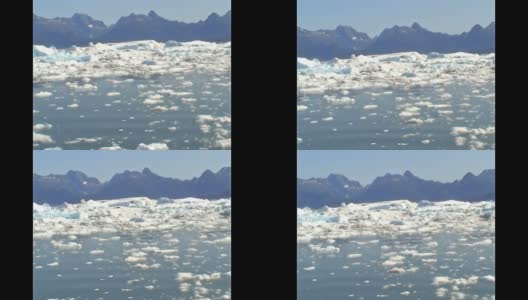 阿拉斯加的冰山碎片正在融化高清在线视频素材下载