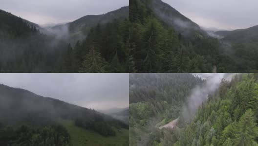 在雾蒙蒙的早晨，在树梢上近距离飞行。航拍在fpv运动无人机云朵自然山谷景观丘陵地形。动态电影的看法。高清在线视频素材下载