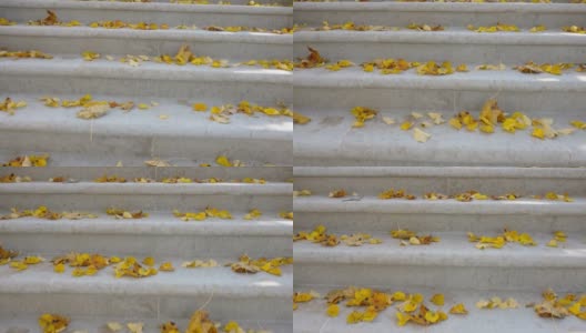 黄色的枫叶散落在爱沙尼亚的楼梯上高清在线视频素材下载