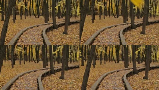 秋天公园里的木路。多莉。高清在线视频素材下载