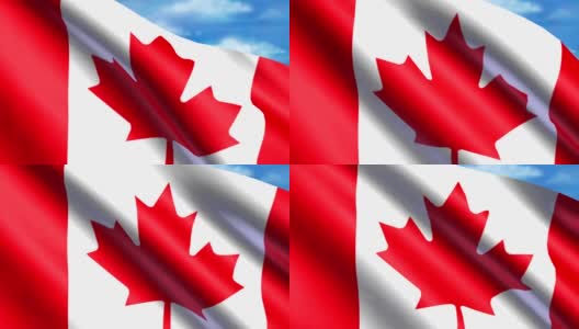 加拿大国旗动画高清在线视频素材下载