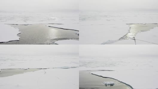 在北极的冰中旅行高清在线视频素材下载