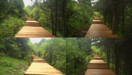 手持式视角:中国四川省四姑娘山国家公园的长平沟或长平谷的木制步道高清在线视频素材下载