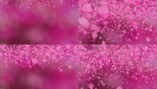 近距离看百万粉红色的樱花叶子飘落模糊的深粉色背景高清在线视频素材下载