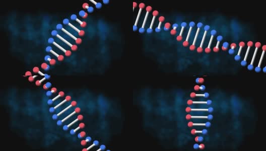 旋转3d模型dna链的动画，在深蓝色的背景上高清在线视频素材下载